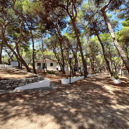 Holiday park Villaggio Internazionale Punta Del Diamante 3*
